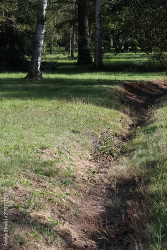 A dry creek bed winds through a sunlit green park.