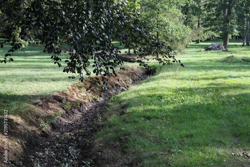Dried-up stream running through a lush green summer park.