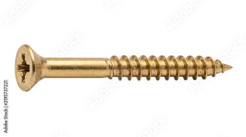 Canvastavla Single brass wood screw with phillips head on white solated on transparent backg