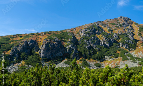 Autumn colors of vegetation on a rocky slope.