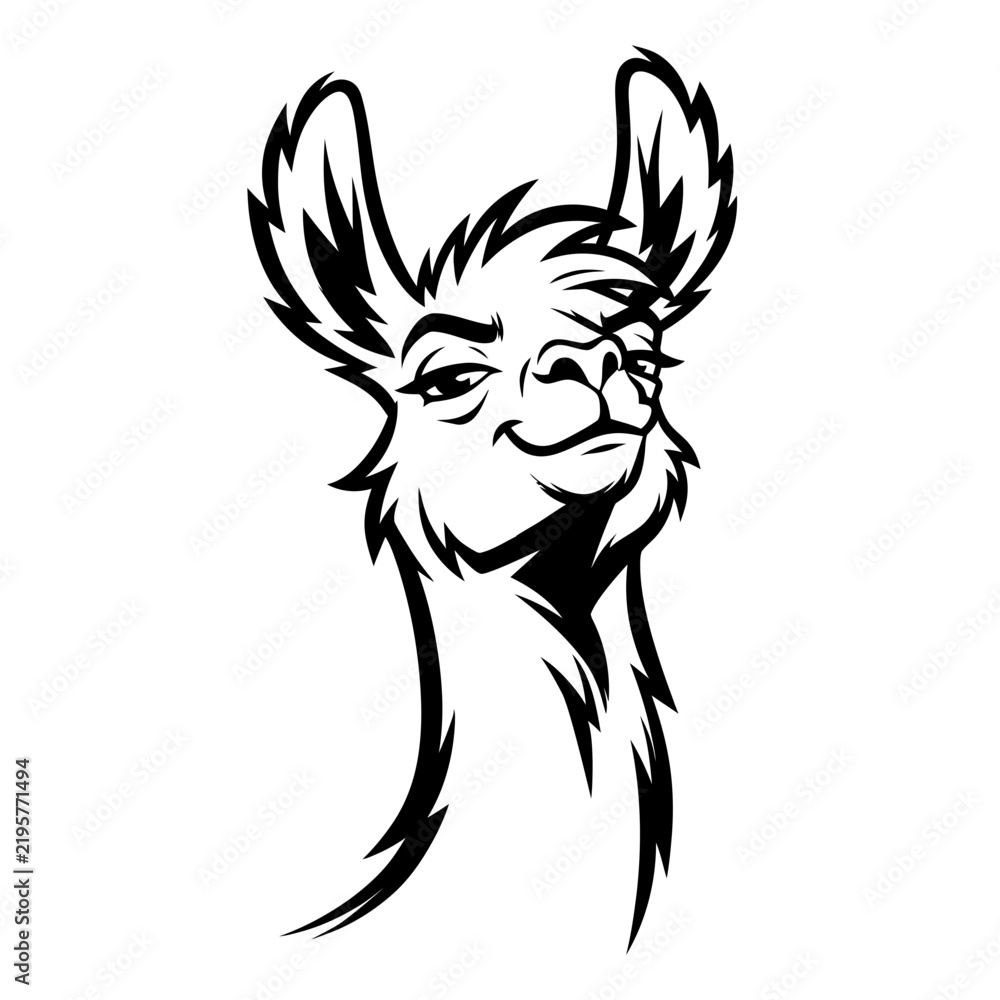 Fototapeta premium Stylized Black and White Llama Head Illustration.