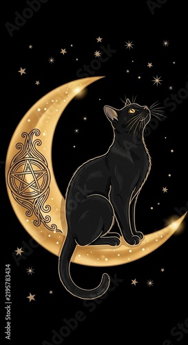 月夜に佇む黒猫、星空と神秘の月光