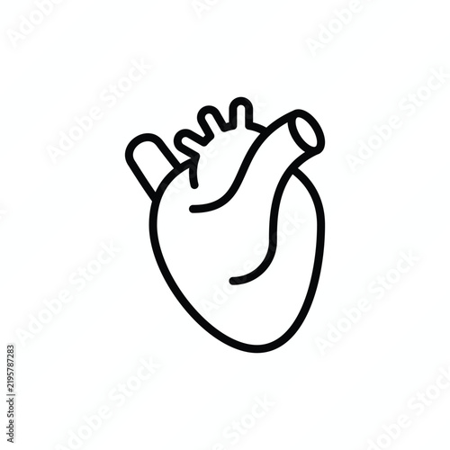 Heart anatomy thin line icon, representing cardiovascular health, circulation, anatomy, and medical care. Vector illustration