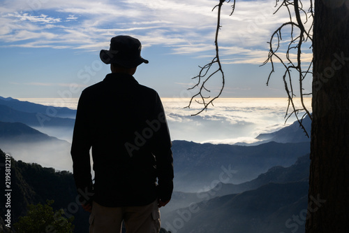 Man in silhouette standing by a big tree and looking at the views of mountains at sunset. Sequoia National Park. California. USA.