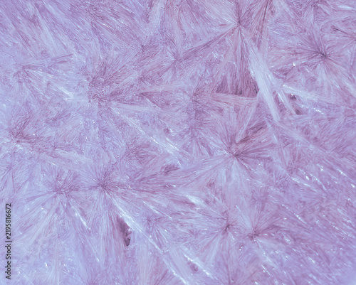 Obraz na plátne Horizontal abstract soft pink and lilac crystal texture with feather-like dendri