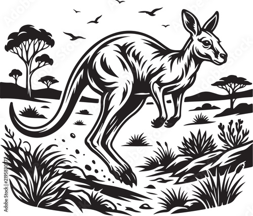 kangaroo vector illustration