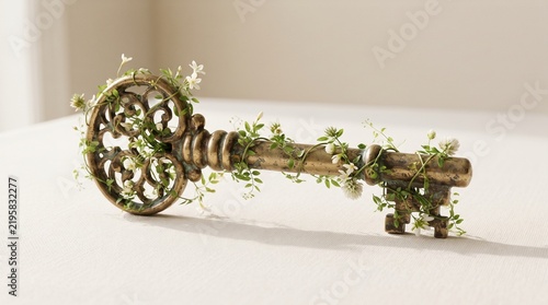 Ornate skeleton key decorated with delicate small green vines and tiny white flowers resting on a light surface.