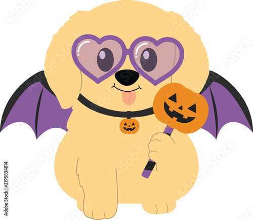 Golden Retriever Puppy Wearing Bat Cape, Heart Sunglasses, and Holding Pumpkin Lollipop