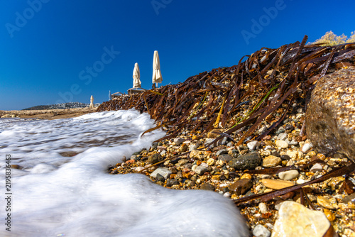 Foto Marine debris and seaweed washed ashore on the Aegean Sea coast in Turkey
