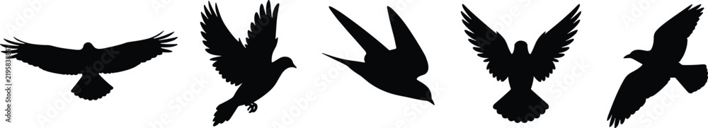 Fototapeta premium Flying Bird Silhouette Set Featuring Five Diverse Wing Positions and Dynamic Flight Poses on White Background