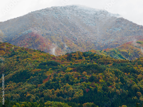 Картината върху платно 晩秋の風景。秋と冬の季節が重なる様子。霧氷した山頂、中腹の紅葉、麓の緑の樹木の色彩の変化。グラデーション。三段紅葉。自然風景素材。美しい志賀高原。