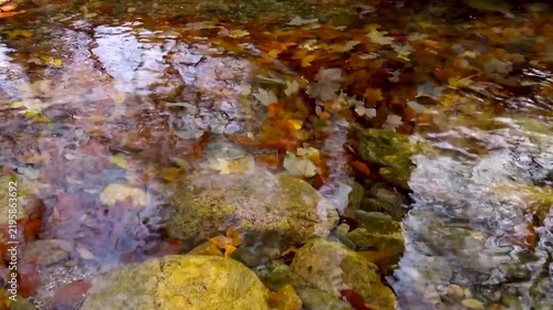 Looping one minute video of natural autumn stream with clear water and authentic sound.