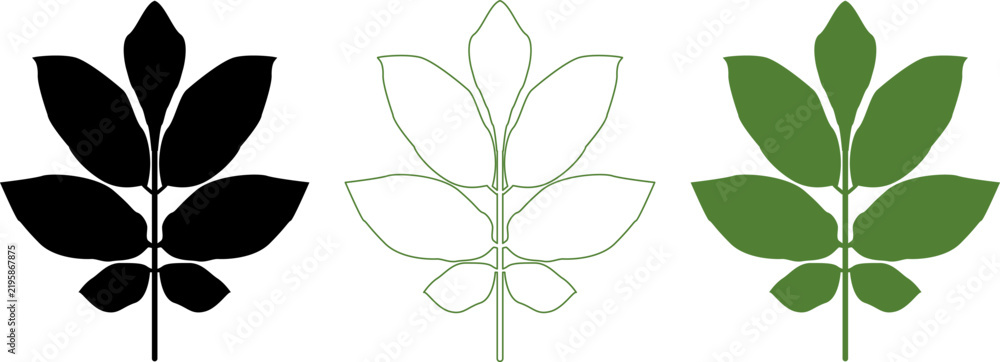 Obraz premium Green crop leaves icon set. Tomato, pepper, potato and other plants leaf logos for agriculture, farming and grow apps, packaging, printed materials. Green leaf icons collection - Natural eco bio