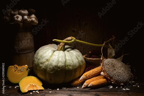 Pumpkins with corn cobs and sunflower on wooden table in moody light. Autumn harvest still life with squash and Thanksgiving seasonal concept