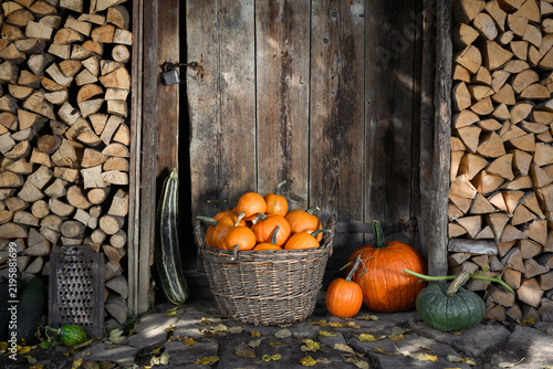 Pumpkin basket with gourds arranged beside weathered cabin doorway outdoors. Seasonal harvest composition with squash and rustic decor atmosphere