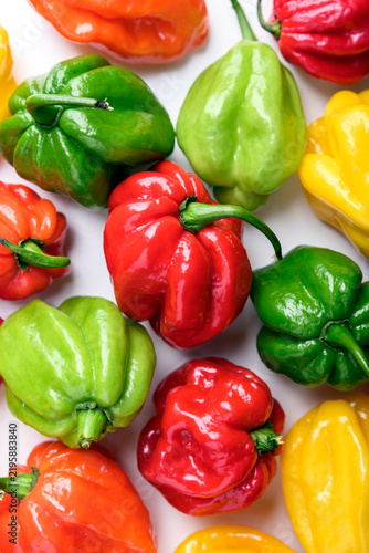 Картината върху платно Bright habanero peppers close up on white background with strong saturation and detail