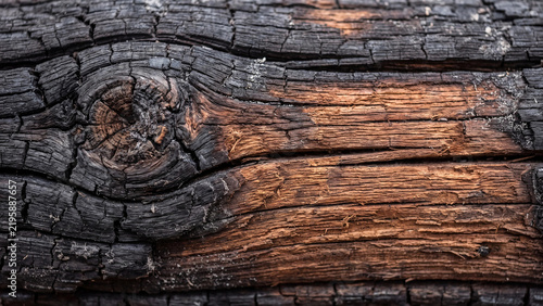 Charred wooden log showing deep cracks and intricate knots with rustic brown textures captured in high resolution macro photography style