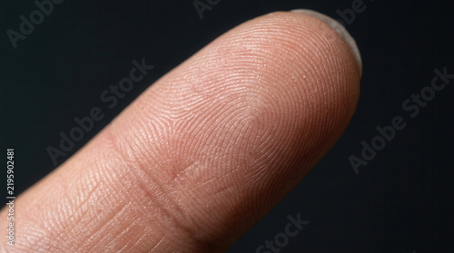 Macro View Of A Human Fingerprint Showing Unique Ridge Patterns