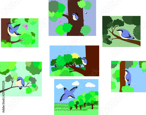 Cute cartoon blue bird forest adventure illustrations mega pack, funny wild nuthatch character, fairytale summer nature landscape scenes for kids book.