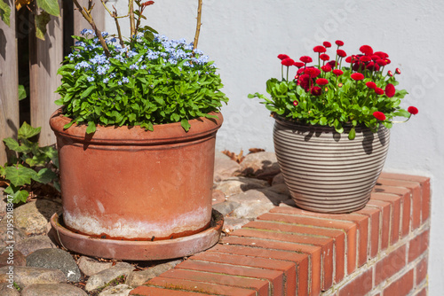 Blumenkübel mit Blumen vor einem Wohnhaus stehend, Deutschland