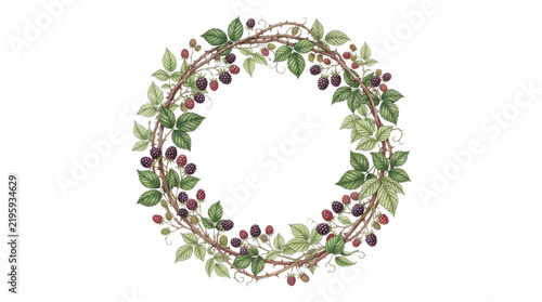 Blackberry branch wreath botanical decoration on white background