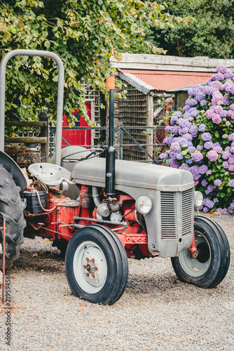 Quadro su tela Retro farm tractor parked in front of a rustic wooden shed and blooming hydrange