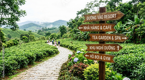 Lush Tea Plantation Signpost Guiding Visitors To Resort And Amenities