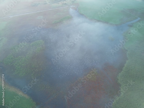 Obraz na plátne Aerial shot of migratory birds flock on wetlands