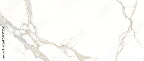 Obraz na plátně Calacatta marble texture background with expressive flowing veins in gray and go