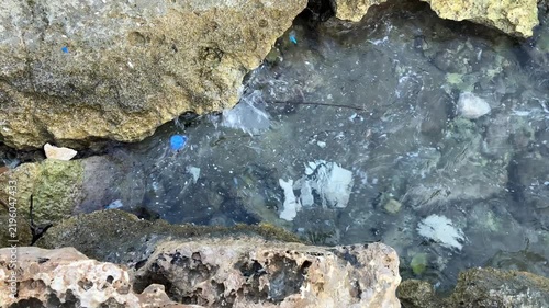 Plastic waste and litter in the sea, the consequences of unsustainable consumption, improper waste disposal, and water pollution