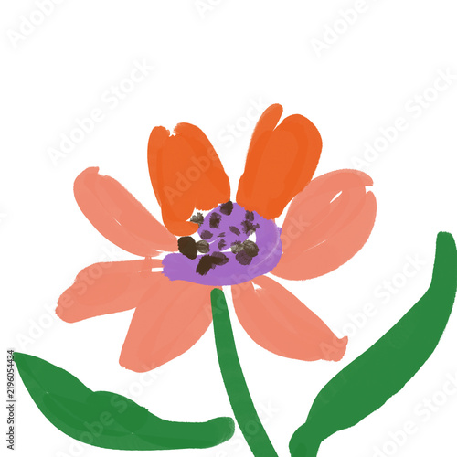 Flower on white background