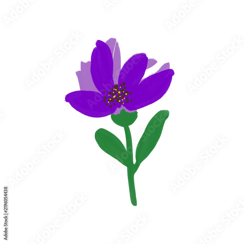 Violet flower on white background