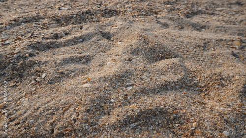 Картината върху платно Close-up view of coarse beach sand texture filled with tiny shell fragments and small mineral grains