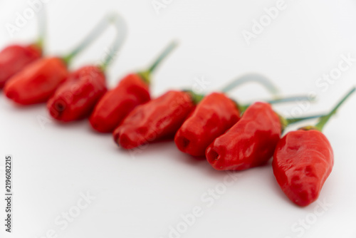 Foto Bright red chili peppers lie in a neat row