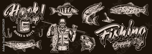 Various fish species depicted in detailed outlines