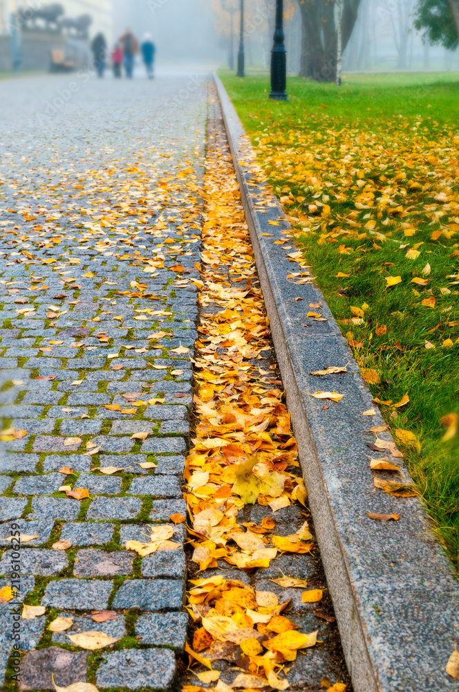 Obraz premium Autumn city park background. A cobblestone path with a stone curb line. Yellow fallen leaves along the edge and green grass with blurred people in the distance