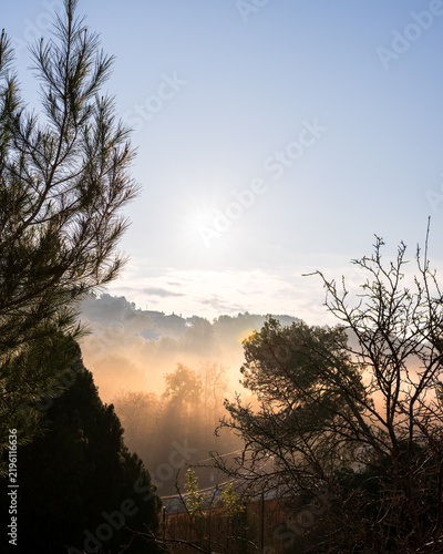 Golden sunrise light breaking through morning fog over a hillside village, silhouetted pine trees framing a misty valley landscape with warm glowing haze and soft blue sky at a peaceful winter dawn