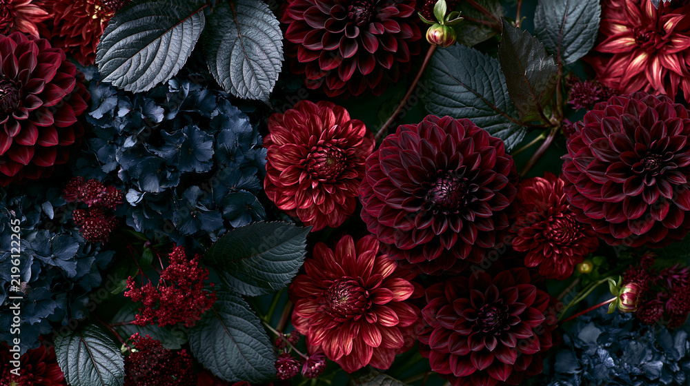 Fototapeta premium Deep Burgundy Dahlia and Dark Blue Hydrangea Flat Lay Background