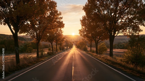 Picturesque autumn road leading towards the setting sun