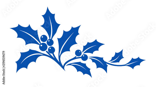 Holly Branch with Blue Berries Illustration