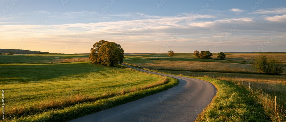Obraz premium Winding country road through green fields at sunset with trees and soft clouds in the sky