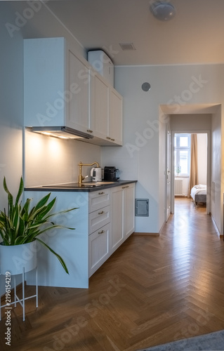 Foto Modern white kitchenette and hallway interior with houseplant and herringbone ha