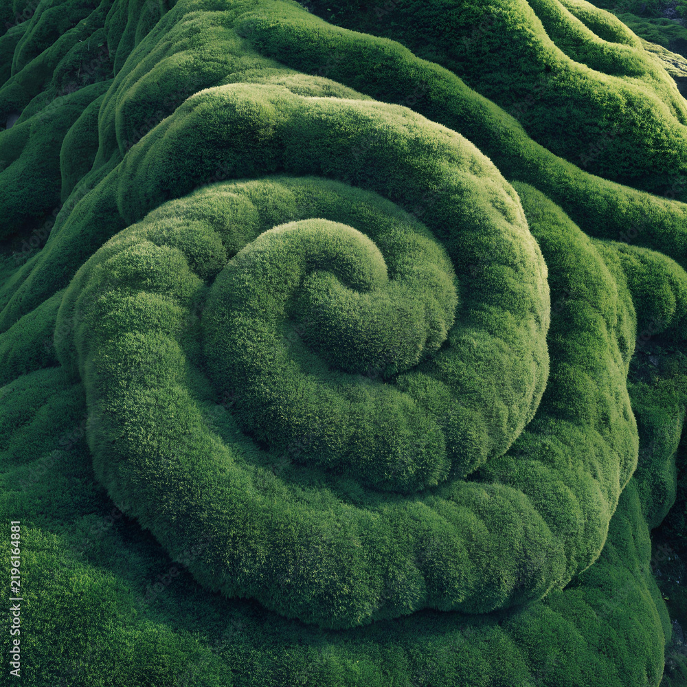 Fototapeta premium Green Moss Swirl Pattern Abstract Nature Background