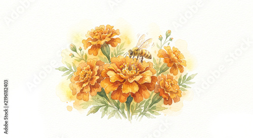 Cute Watercolor Orange French Marigold Blooms with Honey Bee Pollinators