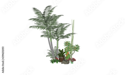 Tropical palm trees and potted garden plants isolated on white background digital illustration