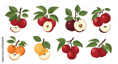 Beautiful set of ripe colorful apple varieties on branches with green leaves, showcasing whole fruit and cut slices.