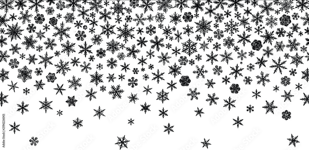 Obraz premium Snow flakes vector background.