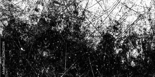Abstract black and white foliage silhouette texture background