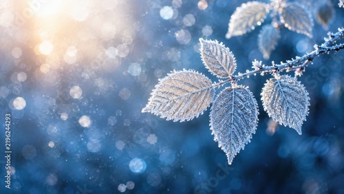 Frozen hoarfrost leaves on winter branch in bright glowing sunlight.