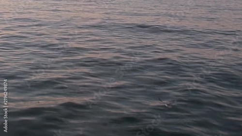 Calm gray water and gentle surface ripples fill a minimal cold seascape. The scene also contains surface texture and natural light, with the framing revealing natural texture and spatial depth.